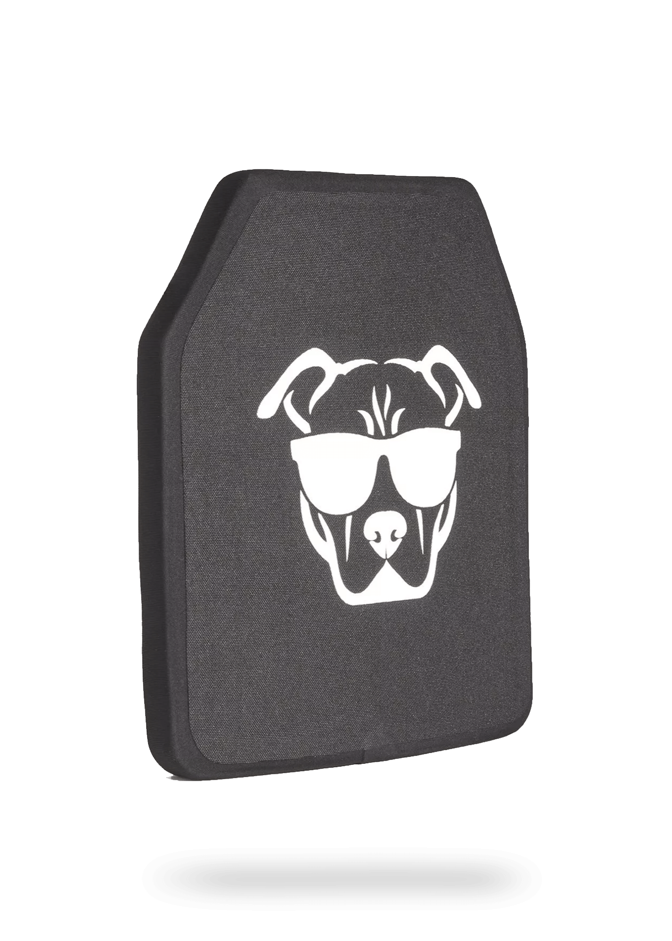 guard_dog_2